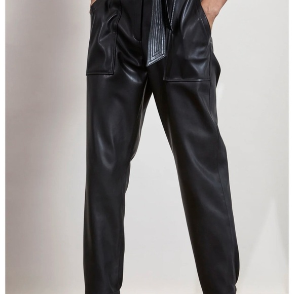 Brochu Walker The Tide Pull-On Pant, Italian Vegan Leather, Jogger Fit, Size XS - Picture 1 of 16
